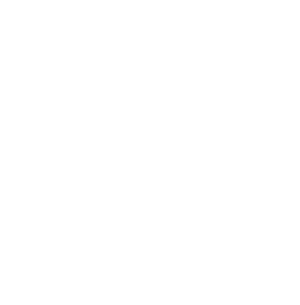 Logo weiß transparent